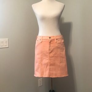 Pink Jean J. Crew Mercantile Skirt NWT